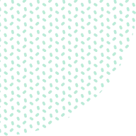 333体育